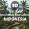 Fun Facts About Indonesia