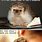 Funny Animals and Captions