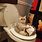 Funny Cat Toilet