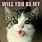 Funny Cat Valentine Memes
