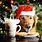 Funny Christmas Dog Pictures