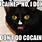 Funny Drug Cat Memes