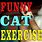 Funny Exercise Cats