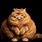 Funny Fat Cat Orange Tabby