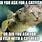 Funny Fishing Memes Catfish