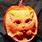 Funny Halloween Pumpkin Cat