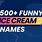 Funny Ice Cream Names