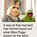 Funny Miss Piggy and Kermit
