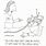 Funny Respiratory Memes David Riddle