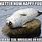 Funny Seal Meme