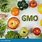 GMO Fruits and Vegetables