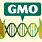 GMO Science