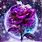 Galaxy Rose Background