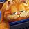 Garfield Full