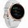 Garmin VivoActive 4S Smartwatch