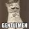 Gentleman Cat Meme