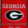 Georgia Bulldogs National Championship Banner