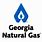 Georgia Natural Gas Company