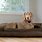 Giant Breed Dog Beds