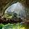Giant Cave in Vietnam