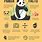 Giant Panda Fun Facts