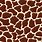 Giraffe Print Pattern