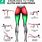 Glute Hamstring Exercises