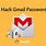 Gmail Password Hacker