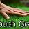 Go Touch Some Grass