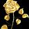 Golden Rose Flower