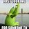 Good Morning Kermit Meme