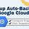 Google Cloud Server Backup