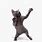 Gray Cat Dancing GIF
