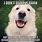 Great Pyrenees Funny Memes