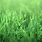 Green grass Background