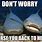 Grey Nurse Shark Meme