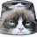 Grumpy Cat Hat