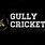 Gully Cricket Logo