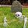 Halloween Skeleton Bones