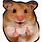 Hamster Meme Icon