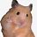 Hamster Meme Profile Picture