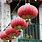 Hang Chinese Lantern
