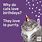 Happy Birthday Cat Jokes