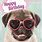 Happy Birthday Pug Funny