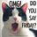 Happy Friday Cat Funny