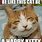 Happy Kitty Meme