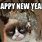 Happy New Year Animal Meme 2019