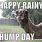 Happy Rainy Hump Day