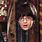 Harry Potter Invisibility Cloak Real