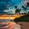 Hawaii Beach Scenes